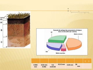 :  تــقــديـــــمتتكون التربة من أربعة عناصر أساسية : الماء ، الهواء ، المواد العضوية (بقايا النباتات و الحيوانات) والمواد المعدنية. تختلف نسبـة هذه العناصر من تربة  لأخرى. يتشابه لون طبقات التربة في بعض المناطق بحيث تكون طبقات التربة العلوية داكنة اللون، أما طبقات التربة التي تلي الطبقة السطحية فيكون لونها مائل للاحمرار.يمكن تصنيف التربة بحسب نسب مختلف الفئات الحبيبية المعدنية  المكونة لها . 