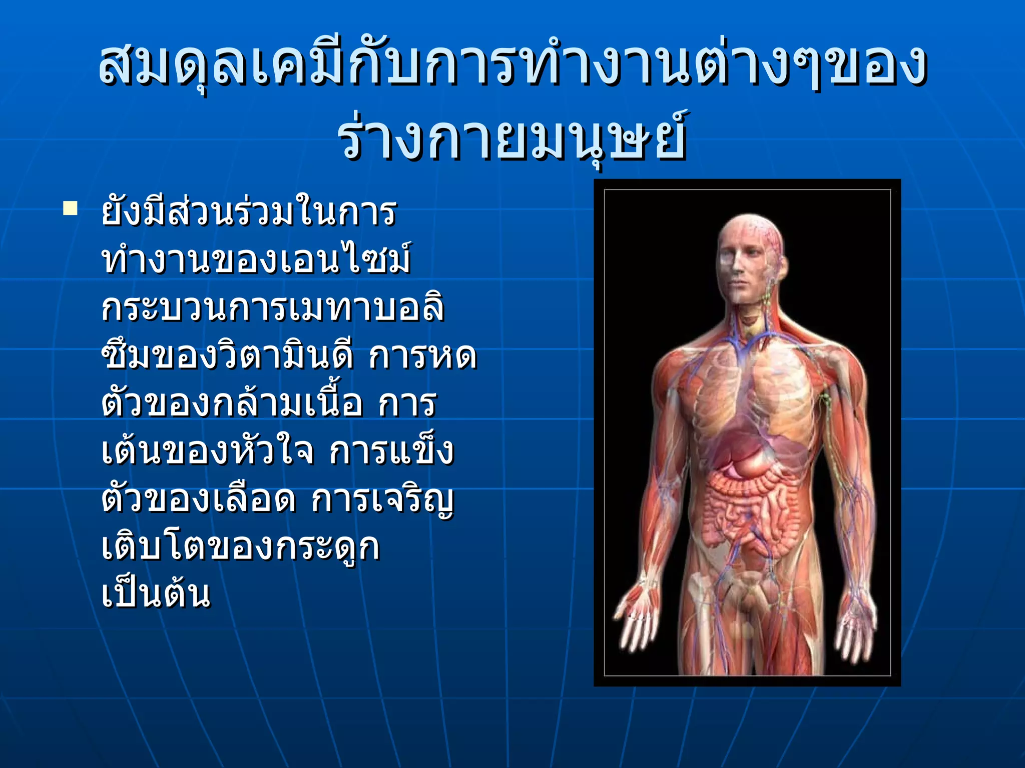 สมดุลเคมีกับการทำงานต่างๆของร่างกายมนุษย์ ยังมีส่วนร่วมในการทำงานของเอนไซม์ กระบวนการเมทาบอลิซึมของวิตามินดี การหดตัวของกล้ามเนื้อ การเต้นของหัวใจ การแข็งตัวของเลือด การเจริญเติบโตของกระดูก เป็นต้น 