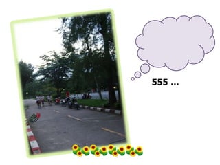 เย็นๆแบบนี้..แค่ปั่นจักยานกับเพื่อนก็..มีความสุขแล้ว 555 …