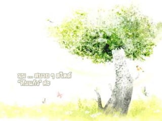 มุม ... สบาย ๆ สไตล์ “ทับแก้ว” ค่ะ 