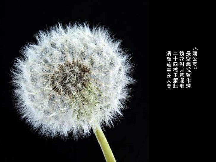 詠花 詠花