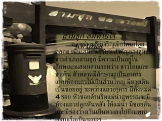 สามชุก ลมหายใจแห่งอดีต ตลาดสามชุกเจริญเติบโตมาโดยตลอด เป็นเสมือนอวัยวะสำคัญของชุมชนชาวอำเภอสามชุก มีความเป็นอยู่ในลักษณะผสมผสานระหว่าง ชาวไทยและชาวจีน ตัวตลาดมีลักษณะเป็นอาคาร แบบห้องแถวไม้เป็นส่วนใหญ่ มีทางเดินเป็นซอยอยู่ ระหว่างแถวอาคาร มีทั้งหมด  4  ซอย หัวซอยด้านริมแม่น้ำสุพรรณจะมีห้องแถวปลูกหันหลัง ให้แม่น้ำ มีซอยคั่นและมีช่องว่างเว้นเป็นทางลงไปยังแพท่าเทียบเรือเป็นระยะๆ 