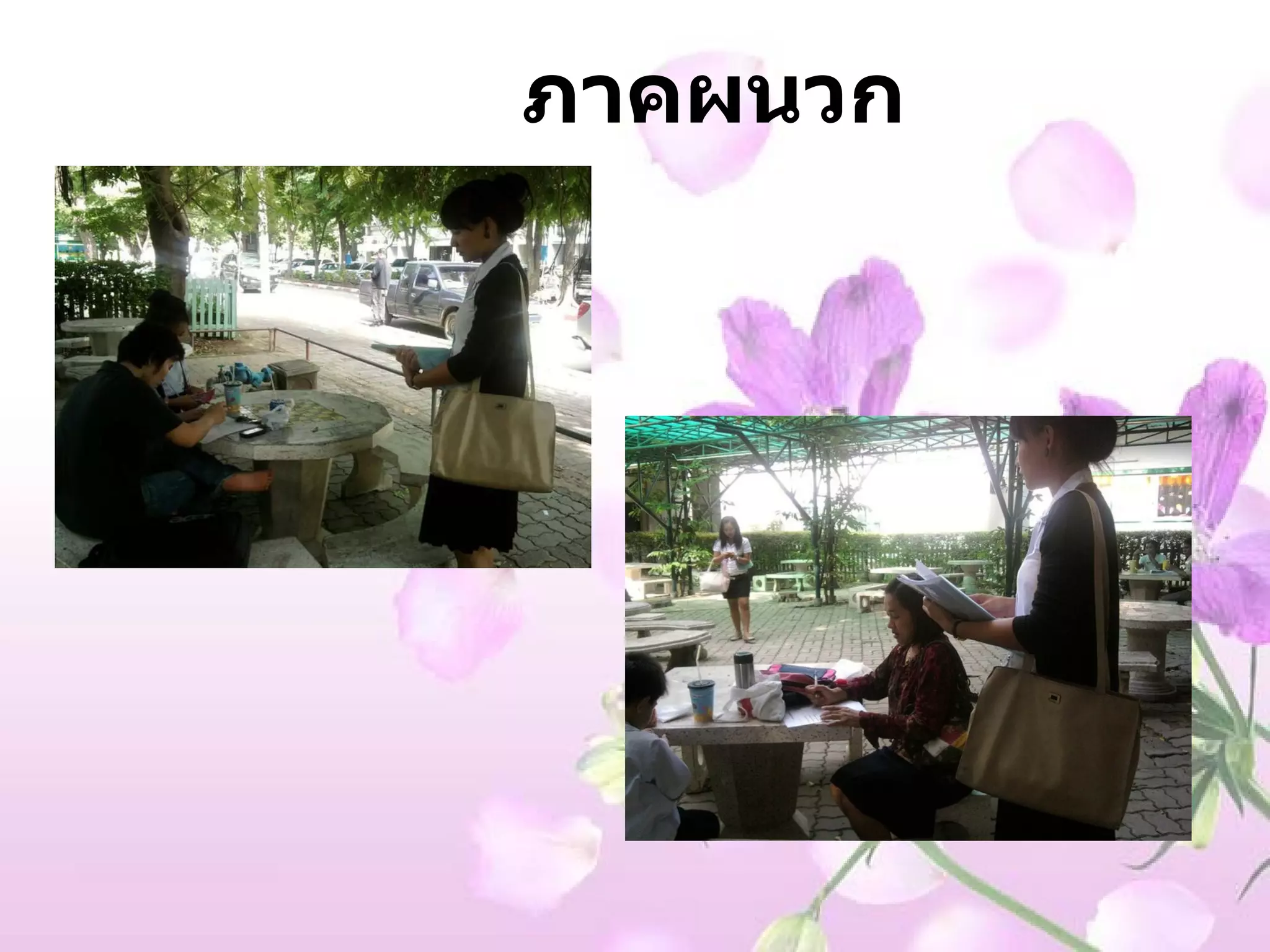 ภาคผนวก 