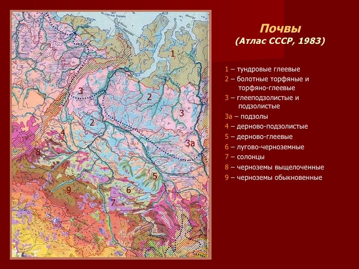 почвы западной сибири. типы почв западной сибири. почвы тайги восточной сибири. гидроморфные почвы. почвенные западной сибири.