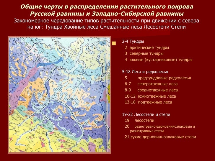 Какие крупные реки на западно сибирской равнине