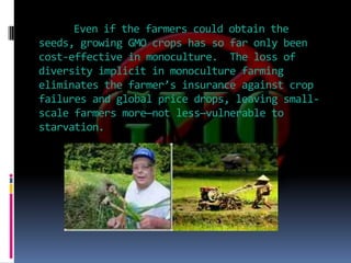 Even if the farmers could obtain the seeds, growing GMO crops has so far only been cost-effective in monoculture.  The loss of diversity implicit in monoculture farming eliminates the farmer’s insurance against crop failures and global price drops, leaving small-scale farmers more—not less—vulnerable to starvation.