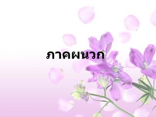 ภาคผนวก 