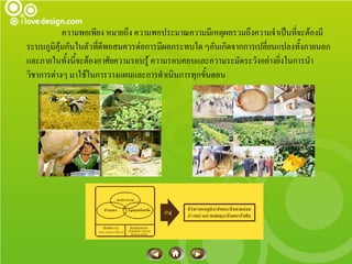 ความพอเพียง หมายถึง ความพอประมาณความมีเหตุผลรวมถึงความจาเป็นทีจะต้องมี
                                                                           ่
ระบบภูมิคุ้มกันในตัวที่ดีพอสมควรต่อการมีผลกระทบใด ๆอันเกิดจากการเปลี่ยนแปลงทังภายนอก
                                                                             ้
และภายในทั้งนี้จะต้องอาศัยความรอบรู้ ความรอบคอบและความระมัดระวังอย่างยิงในการนา
                                                                        ่
วิชาการต่างๆ มาใช้ในการวางแผนและการดาเนินการทุกขันตอน
                                                  ้
 