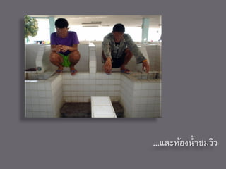 ...และห้องน้ าชมวิว
 