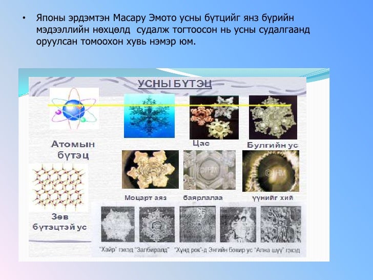 усны судалгаа