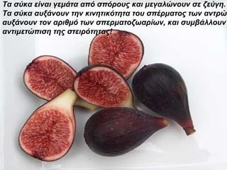 Τα σύκα είναι γεμάτα από σπόρους και μεγαλώνουν σε ζεύγη.  Τα σύκα αυξάνουν την κινητικότητα του σπέρματος των αντρών,  αυξάνουν τον αριθμό των σπερματοζωαρίων, και συμβάλλουν στην  αντιμετώπιση της στειρότητας! 