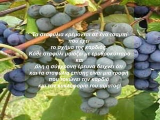 Τα σταφύλια κρέμονται σε ένα τσαμπί που έχει  το σχήμα της καρδιάς.  Κάθε σταφύλι μοιάζει με ερυθροκύτταρο και όλη η σύγχρονη έρευνα δειχνει ότι  και τα σταφύλια επίσης είναι μια τροφή  που τονώνει την καρδιά  και την κυκλοφορία του αίματος! 