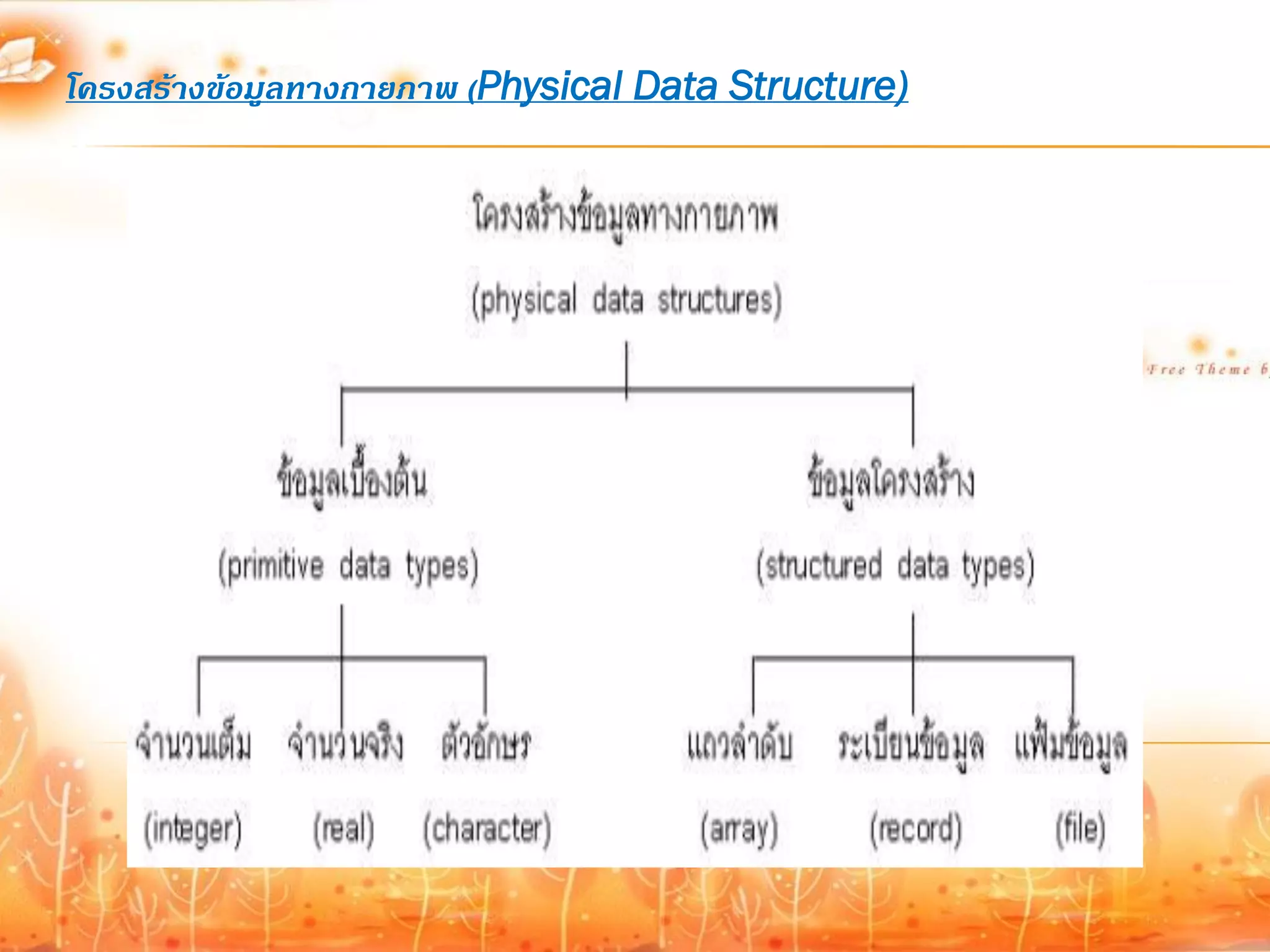 โครงสร้างข้อมูลทางกายภาพ (Physical Data Structure)
 