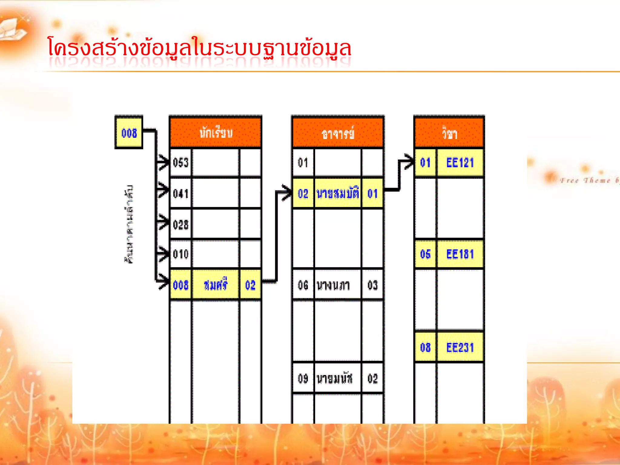 โครงสร้างข้อมูลในระบบฐานข้อมูล
 
