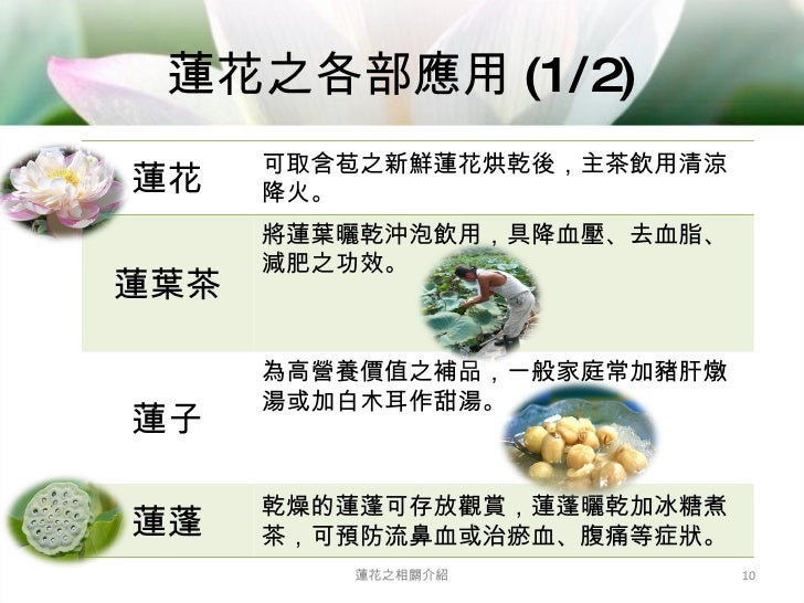 蓮花簡介 蓮花簡介