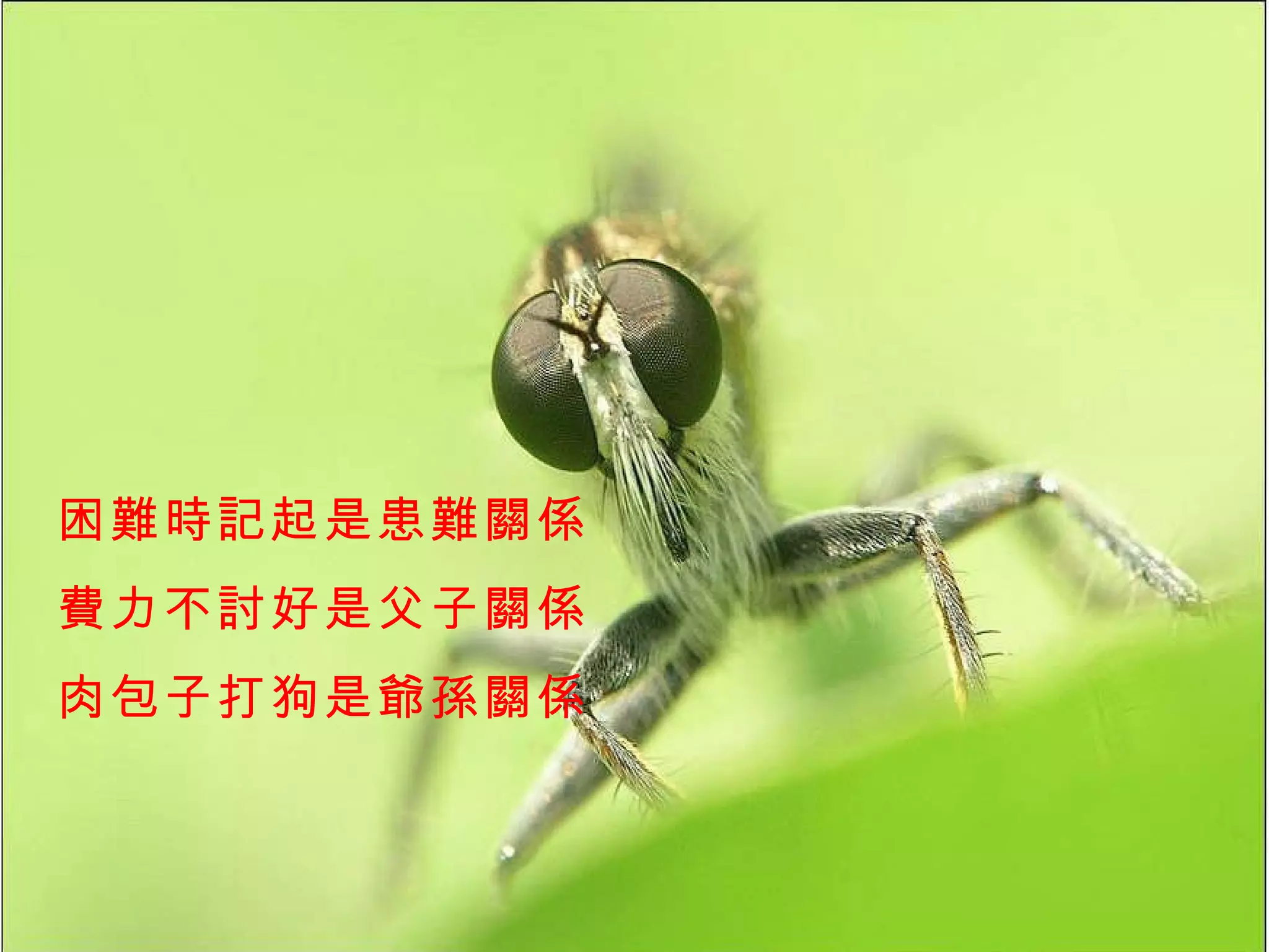 困難時記起是患難關係 費力不討好是父子關係 肉包子打狗是爺孫關係 