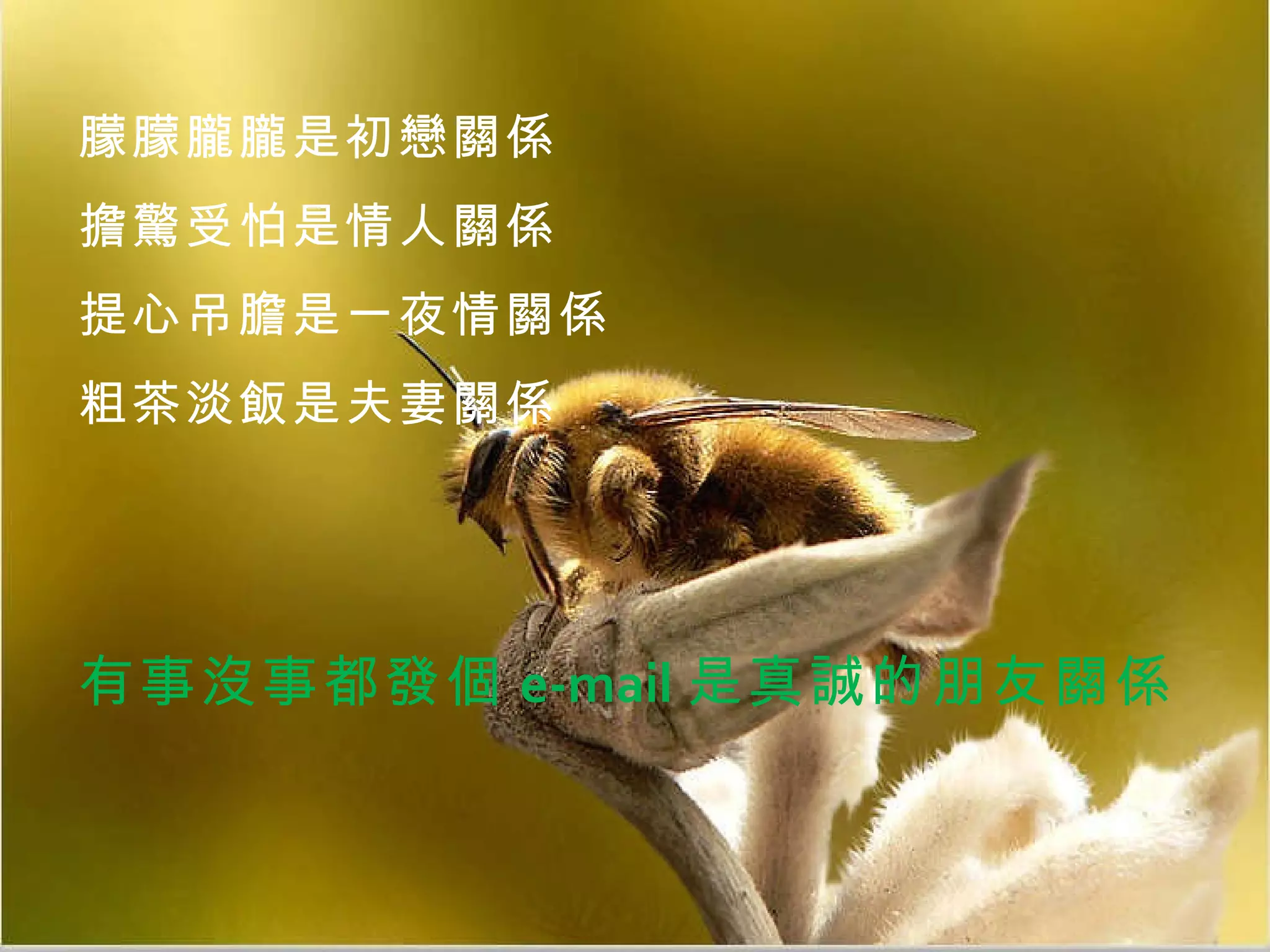 朦朦朧朧是初戀關係 擔驚受怕是情人關係 提心吊膽是一夜情關係 粗茶淡飯是夫妻關係 有事沒事都發個 e-mail 是真誠的朋友關係 