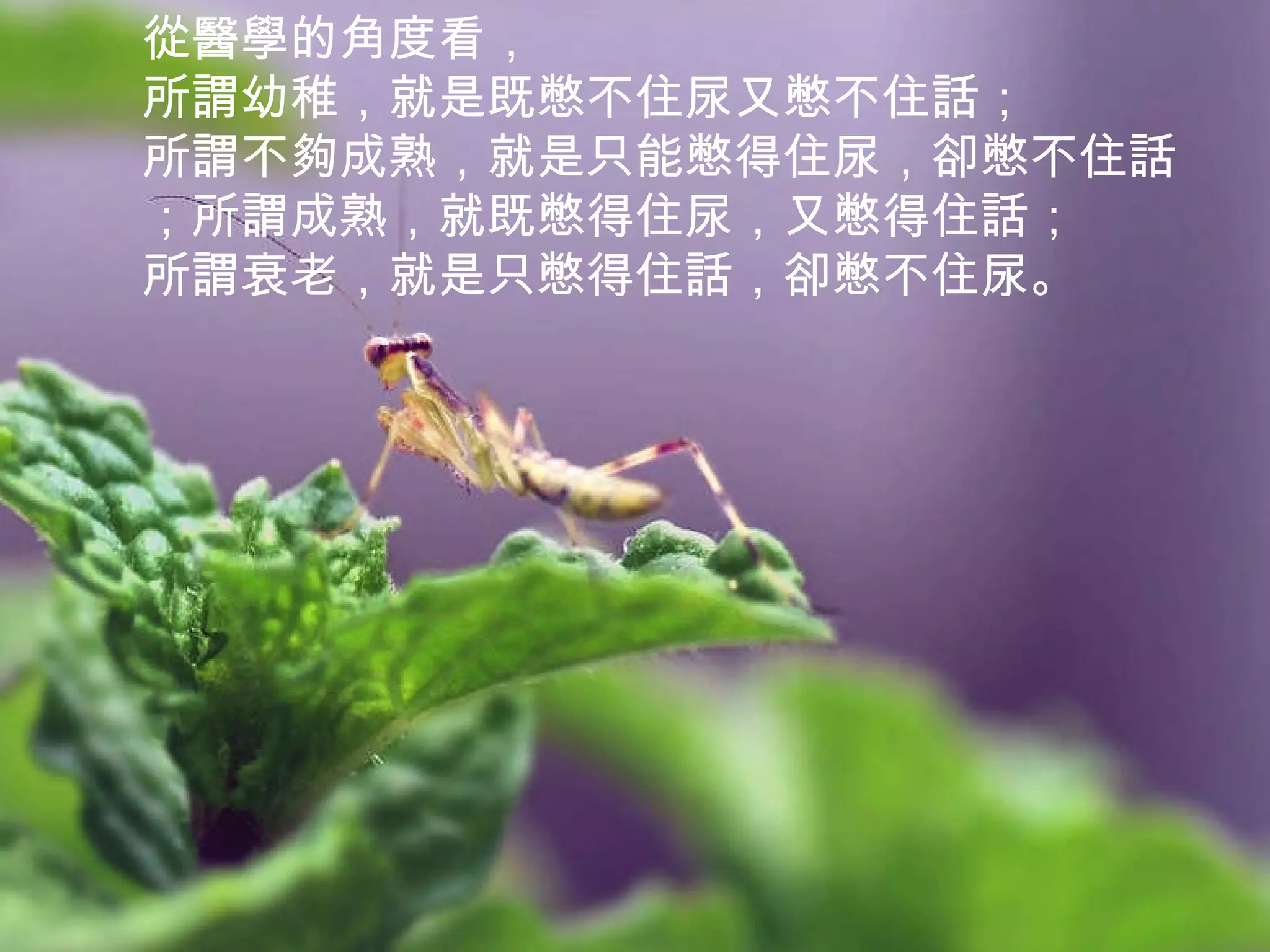 從醫學的角度看， 所謂幼稚，就是既憋不住尿又憋不住話； 所謂不夠成熟，就是只能憋得住尿，卻憋不住話；所謂成熟，就既憋得住尿，又憋得住話； 所謂衰老，就是只憋得住話，卻憋不住尿。 