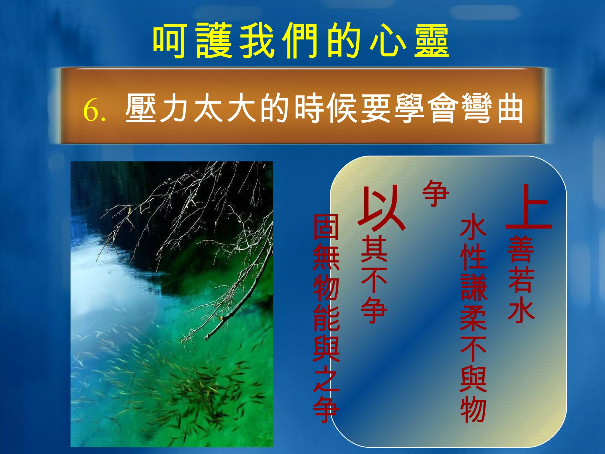 呵 護 我 們 的心 靈 6.  壓 力太大的 時 候要 學會彎 曲   上 善若水 水性 謙 柔不 與 物争 以 其不争 固 無 物能 與 之争   
