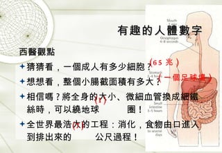 有趣的人體數字 西醫觀點 猜猜看，一個成人有多少細胞 ? 想想看，整個小腸截面積有多大 ? 相信嗎 ? 將全身的大小、微細血管換成細鐵絲時，可以繞地球   圈 ! 全世界最浩大的工程：消化，食物由口進入到排出來的   公尺過程 ! (65 兆 ) ( 一個足球場 ) (1) (7) 