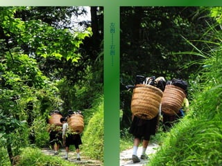 左拐……右拐…… 