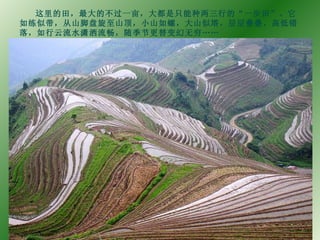 这里的田，最大的不过一亩，大都是只能种两三行的“一步田”。它如练似带，从山脚盘旋至山顶，小山如螺，大山似塔，层层叠叠，高低错落，如行云流水潇洒流畅，随季节更替变幻无穷…… 