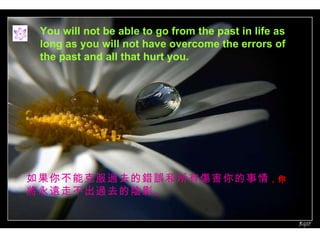 You will not be able to go from the past   in life as long as you will not have overcome the errors of the   past and all that hurt you. 㲻ܿ˷^ȥe`Ђ  h߲^ȥӰ 