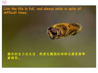 Live the life in full, and always smile in spite of difficult times. MȫȥʹDĕrҲ߀Ҫ΢Ц 