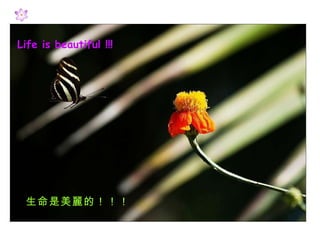 Life is beautiful   !!! ģ 