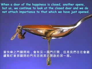 When a door of the happiness is closed, another opens, but us,   we continue to look at the closed door and we do not attach   importance to that which we have   just opened. 옷֮TP]rһT_҂^moP]Tҕ_һȡ 