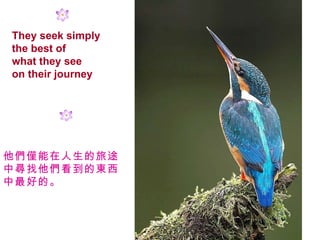 They seek simply the best of what they see on their journey H;ЌĖ|õġ 
