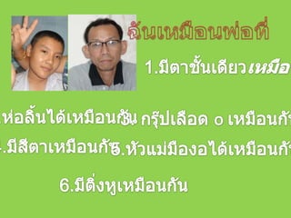 ฉันเหมือนพ่อที่1.มีตาชั้นเดียวเหมือนกัน3. กรุ๊ปเลือด o ๶หมือȨัน2.ห่อลิ้ȨึϹ๶หมือȨัน4.มีสีตา๶หมือȨัน5.หัวแม่มืองอไึϹ๶หมือȨัน6.มีติ่งหู๶หมือȨัน