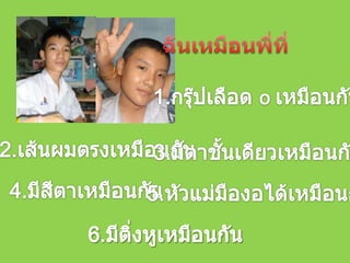 ฉันเหมือนพี่ที่1.กรุ๊ปเลือด o เหมือนกัน2.เส้นผมตรงเหมือนกัน3.มีตาชั้นเดียวเหมือนกัน4.มีสีตาเหมือนกัน5.หัวแม่มืองอได้เหมือนกัน6.มีติ่งหูเหมือนกัน
