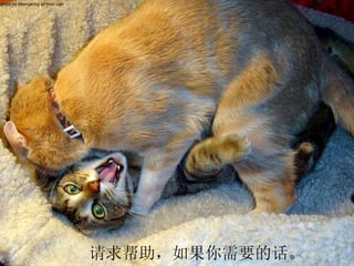 photo by Malingering on flickr.com 请求帮助，如果你需要的话。 