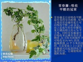 常春藤 : 吸收 甲醛的冠軍 常春藤是目前吸收甲醛最有效的室內植物 , 每平方米的常春藤的葉片可以吸收甲醛 1.48 毫克，而 2 盆成年的常春藤的葉片總面積大約 0.78 平方米。同時常春藤還可以吸收苯這種有毒有害物質 ,24 小時光照條件下可吸收室內 90% 的苯。根據推測 ,10 平方米的房間 , 只需要放上 2-3 盆常春藤就可以起到淨化空氣的作用，它還能吸附微粒灰塵。 