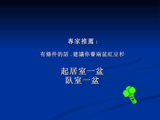 專家推薦 : 有條件的話 . 建議你養兩盆紅豆杉 起居室一盆 臥室一盆 