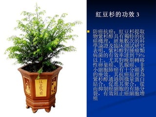 紅豆杉的功效 3 防癌抗癌：紅豆杉提取物紫杉醇具有獨特的抗癌機理，經無數次的科學論證及臨床測試研究表明，紫杉醇對腫瘤類病菌的有效率達到 75% 以上。尤其對晚期轉移性卵巢癌、乳腺癌、非小細胞肺癌有十分顯著的療效。其抗癌原理為紫杉醇通過與微量蛋白結合，促進其聚合，從而抑制癌細胞的有絲分裂，有效阻止癌細胞增殖 