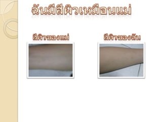 ฉันมีสีผิวเหมือนแม่สีผิวของฉันสีผิวของแม่