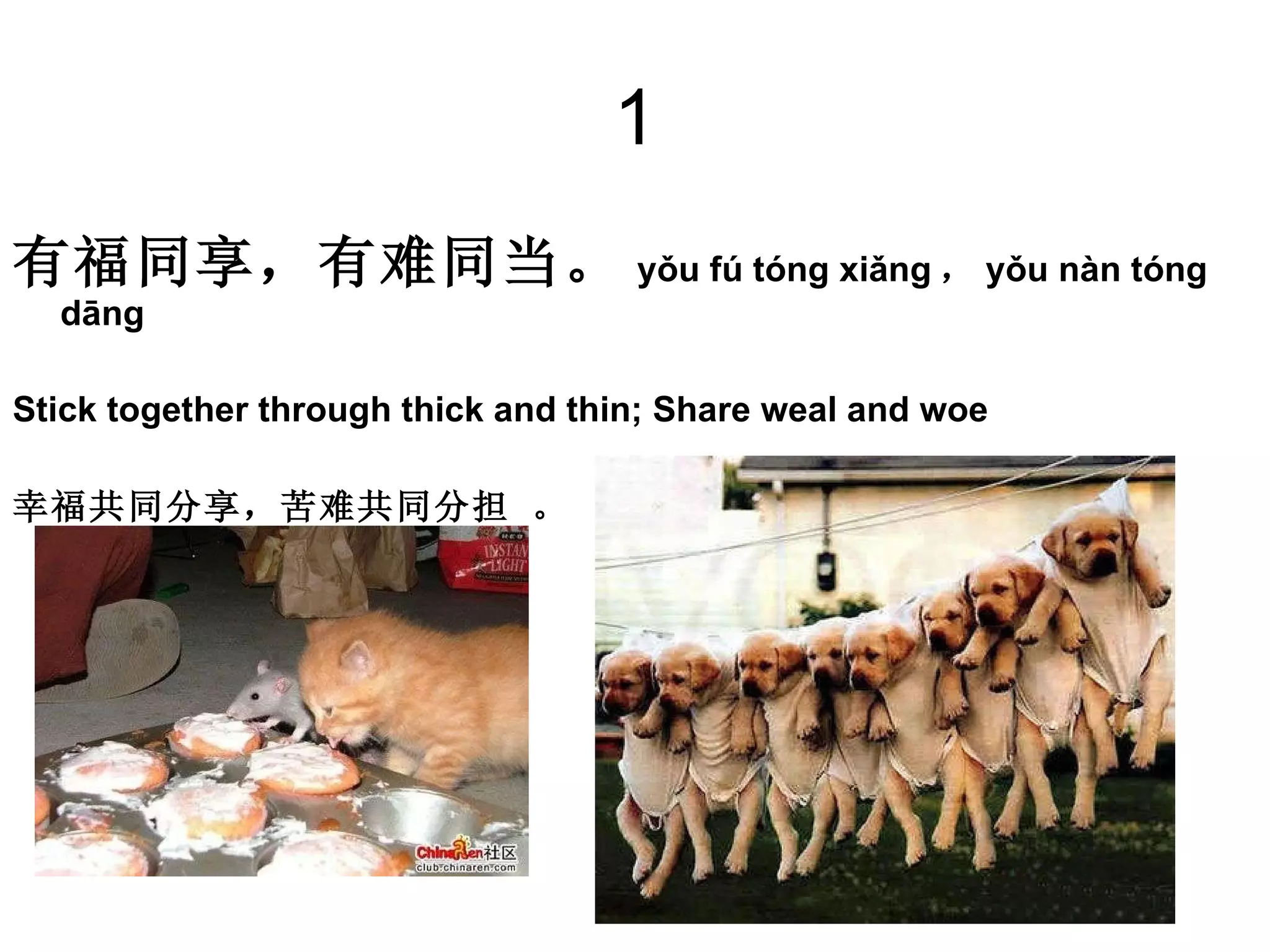 1 有福同享，有难同当。 yǒu fú tóng xiǎng ， yǒu nàn tóng dāng   Stick together through thick and thin; Share weal and woe  幸福共同分享，苦难共同分担 。 