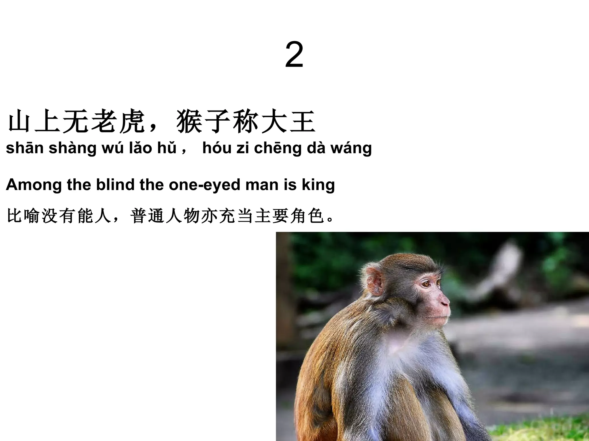 2 山上无老虎，猴子称大王   shān shàng wú lǎo hǔ ， hóu zi chēng dà wáng Among the blind the one-eyed man is king 比喻没有能人，普通人物亦充当主要角色。   
