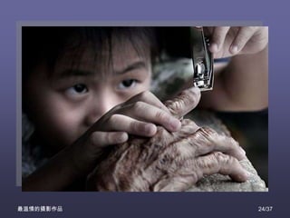 最温情的摄影作品   24/37
 