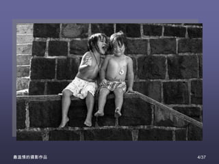 最温情的摄影作品   4/37
 