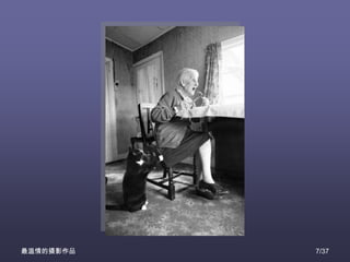 最温情的摄影作品   7/37
 