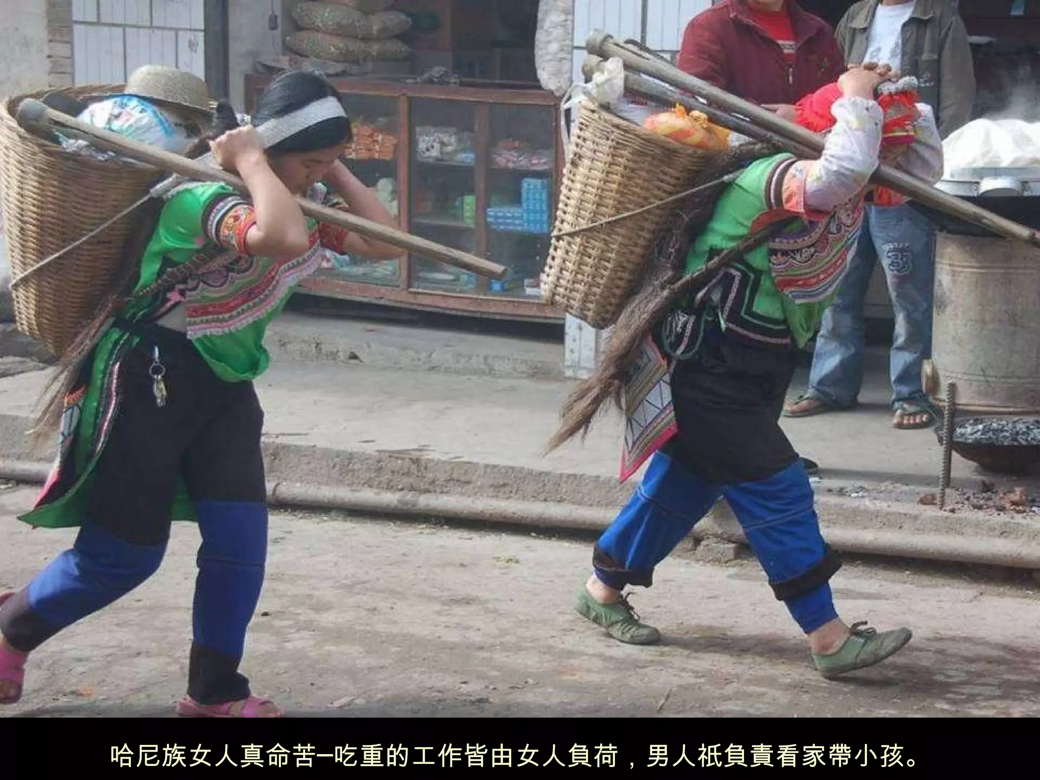 哈尼族女人真命苦─吃重的工作皆由女人負荷，男人祇負責看家帶小孩。 