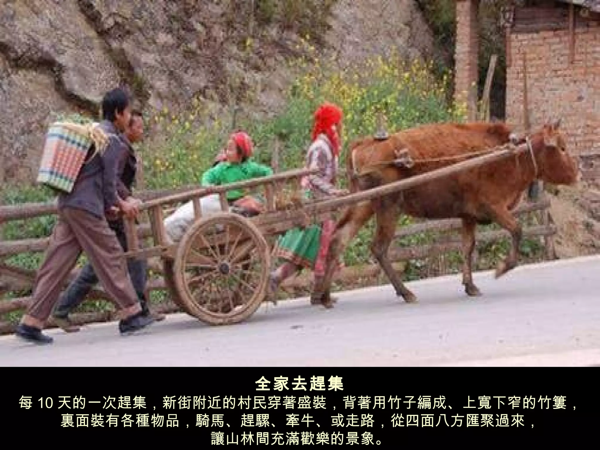 全家去趕集 每 10 天的一次趕集，新街附近的村民穿著盛裝，背著用竹子編成、上寬下窄的竹簍， 裏面裝有各種物品，騎馬、趕騾、牽牛、或走路，從四面八方匯聚過來， 讓山林間充滿歡樂的景象。 