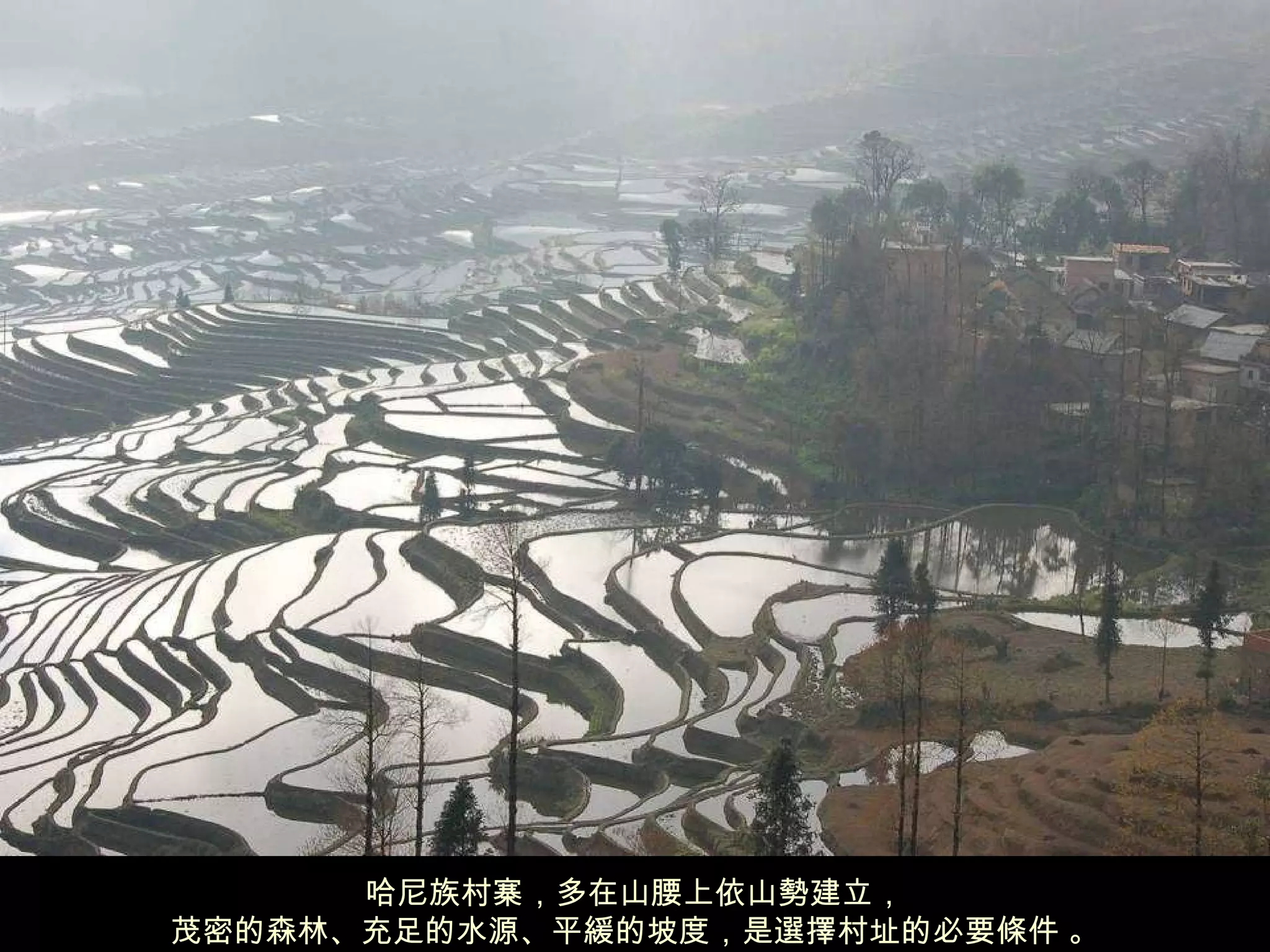 哈尼族村寨，多在山腰上依山勢建立， 茂密的森林、充足的水源、平緩的坡度，是選擇村址的必要條件 。 