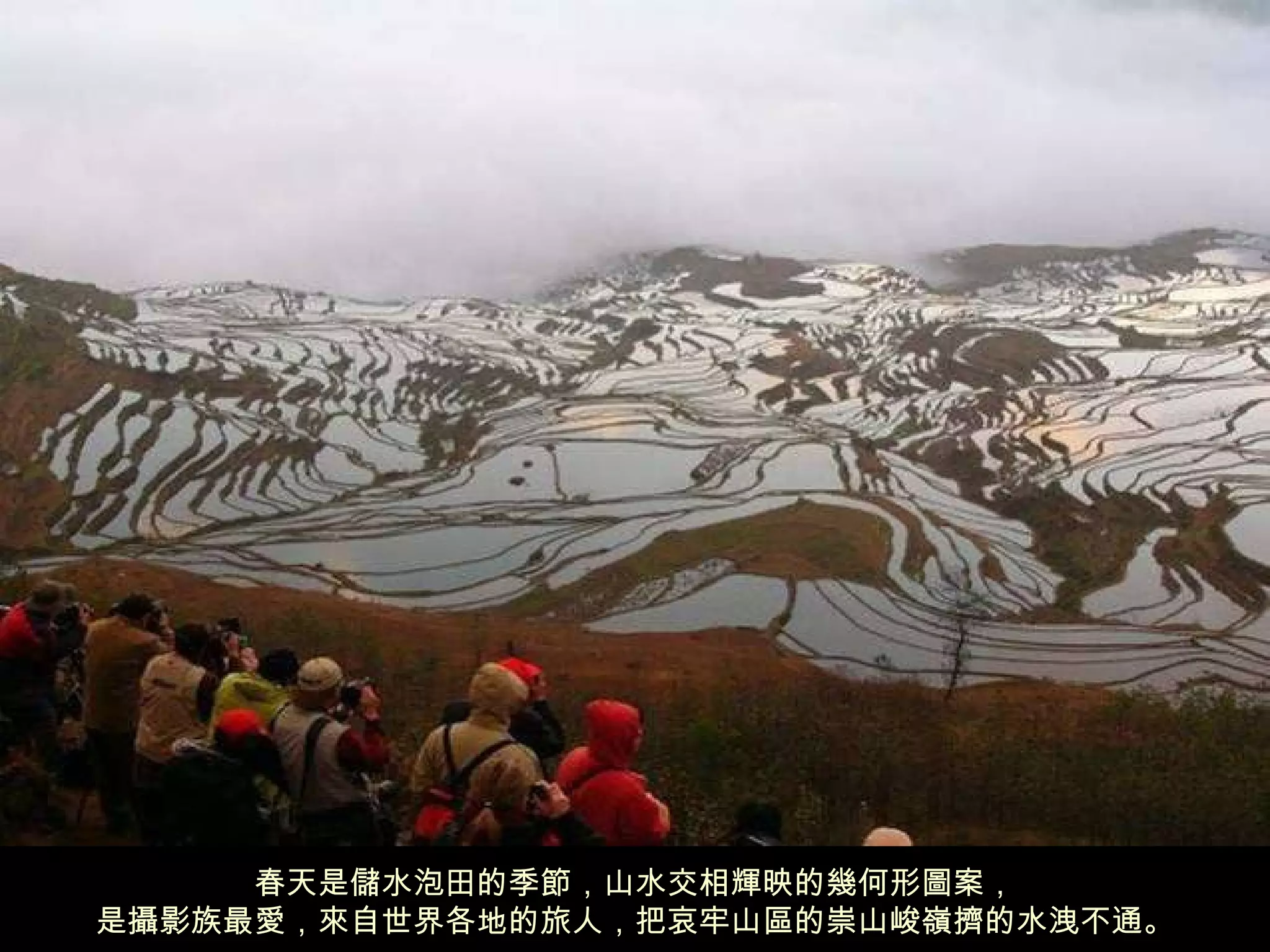 春天是儲水泡田的季節，山水交相輝映的幾何形圖案， 是攝影族最愛，來自世界各地的旅人，把哀牢山區的崇山峻嶺擠的水洩不通。 