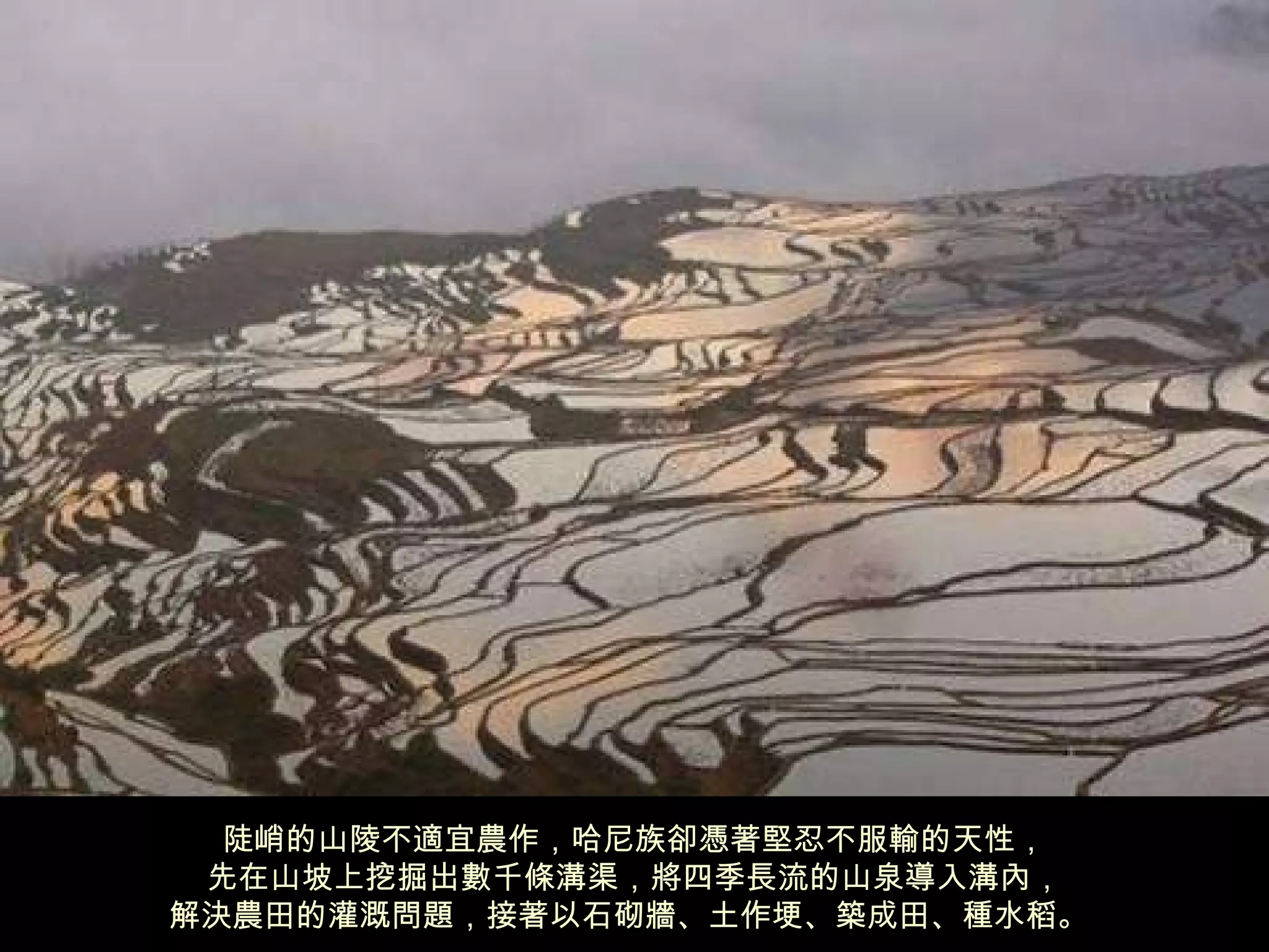 陡峭的山陵不適宜農作，哈尼族卻憑著堅忍不服輸的天性， 先在山坡上挖掘出數千條溝渠，將四季長流的山泉導入溝內， 解決農田的灌溉問題，接著以石砌牆、土作埂、築成田、種水稻。   