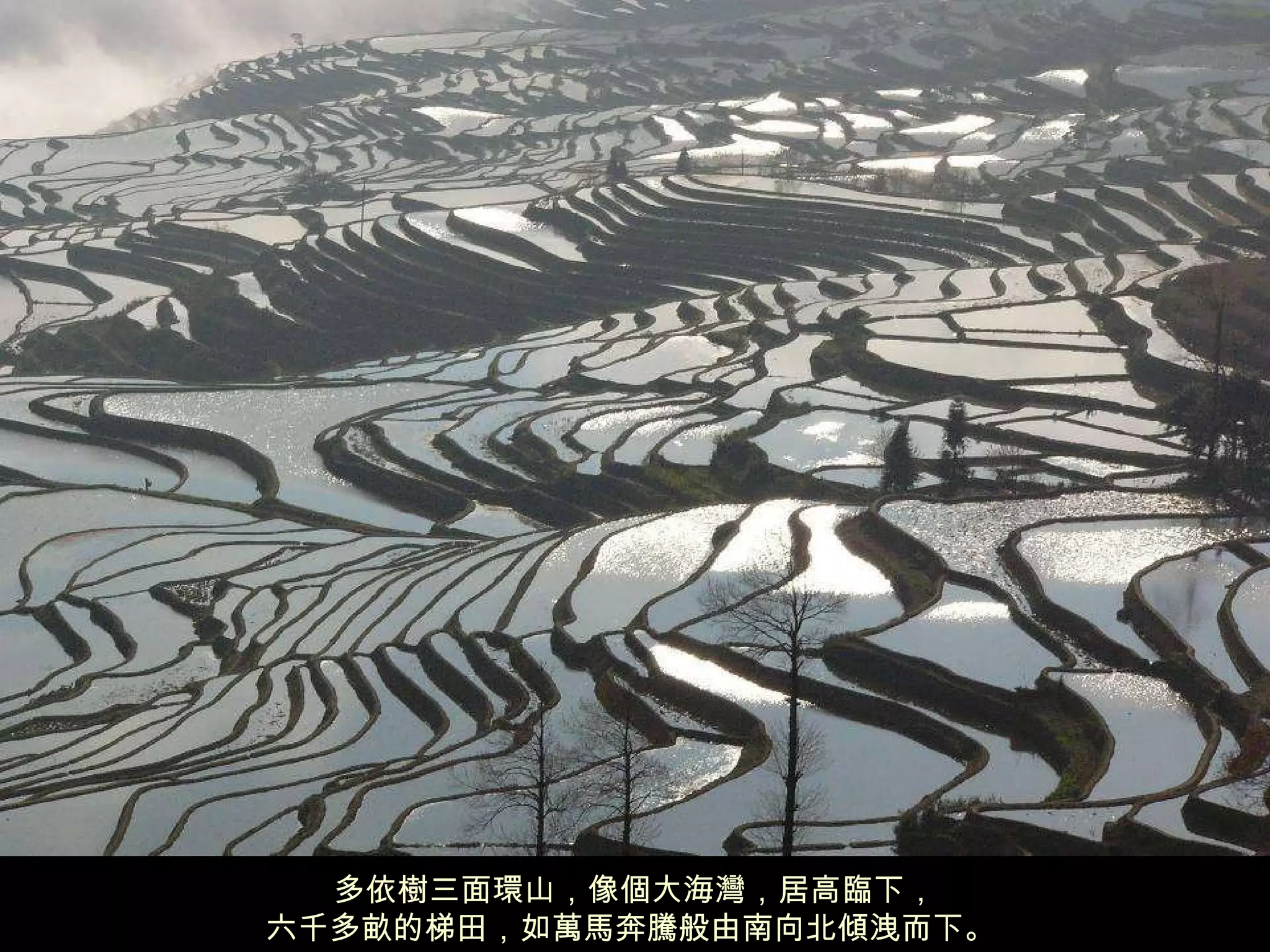 多依樹三面環山，像個大海灣，居高臨下， 六千多畝的梯田，如萬馬奔騰般由南向北傾洩而下。  