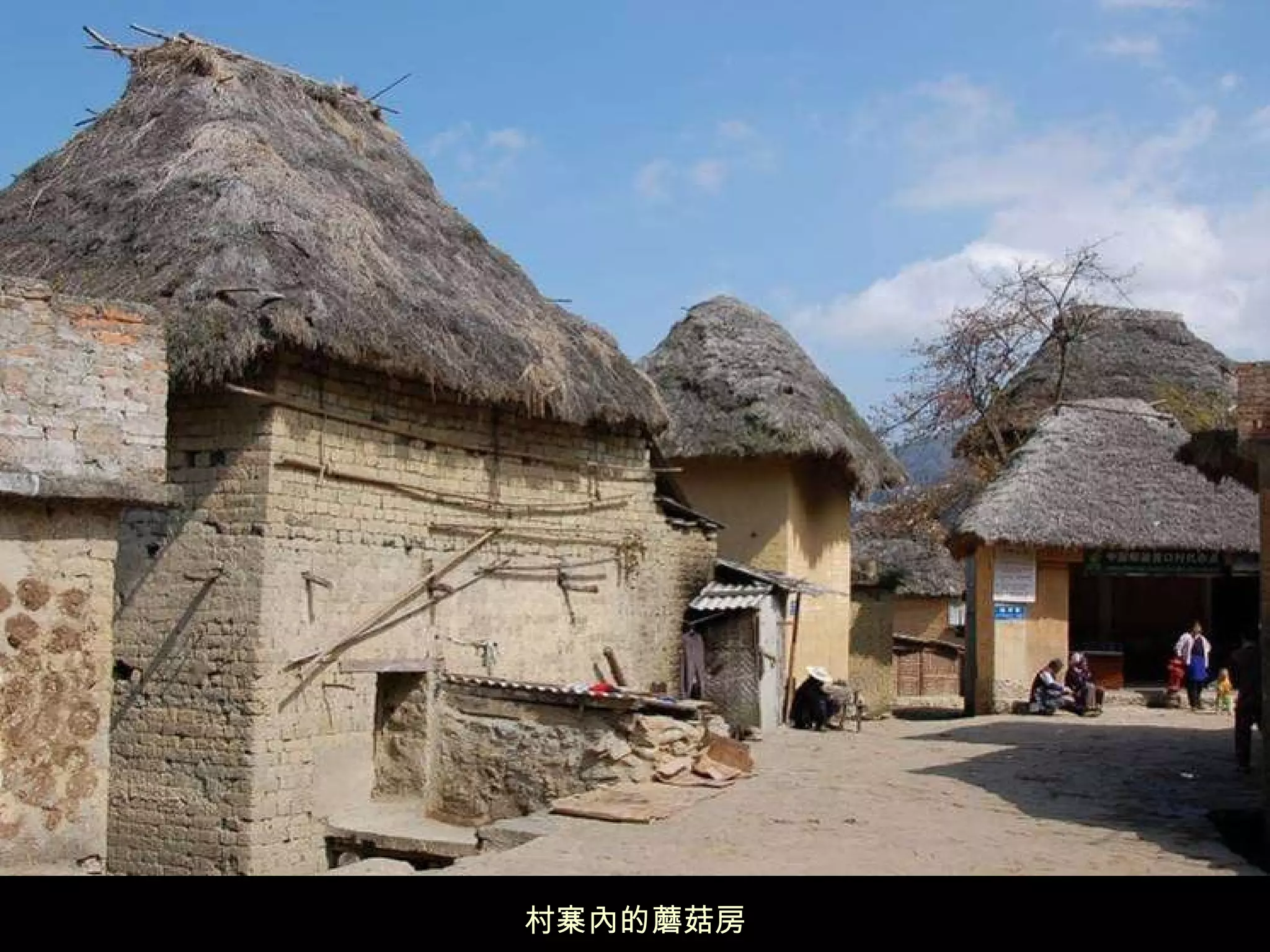 村寨內的蘑菇房 